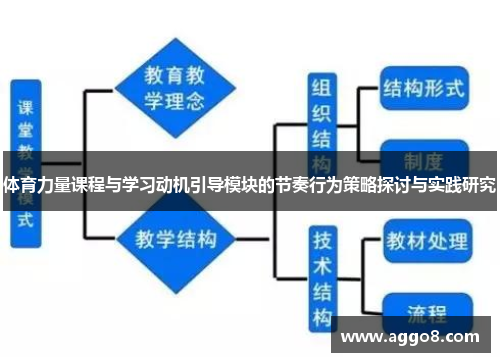 体育力量课程与学习动机引导模块的节奏行为策略探讨与实践研究